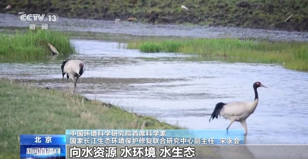 天博体育环境DNA检测、查水质“指纹”……这些水利“黑科技”超给力(图13)